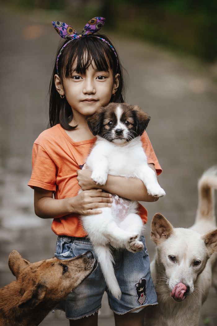 A young girl holding a puppy, surrounded by dogs on a path in Bali, Indonesia.